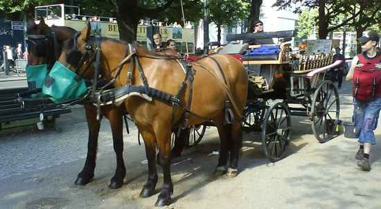 Kutsche mit Pferden - Unter den Linden Berlin (c) Daniel Buchholz